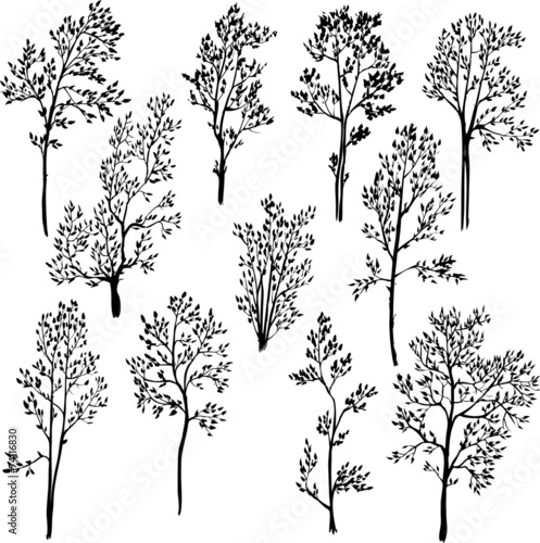 set of different spring trees