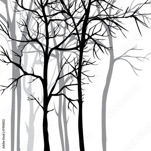 Vector background with trees