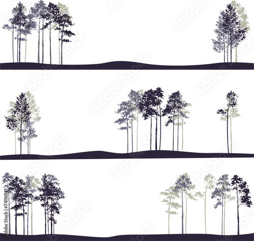 set of different landscapes with pine trees