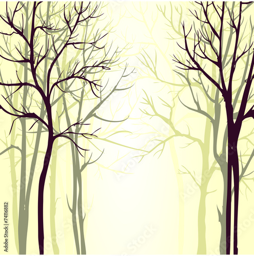 Vector background with trees