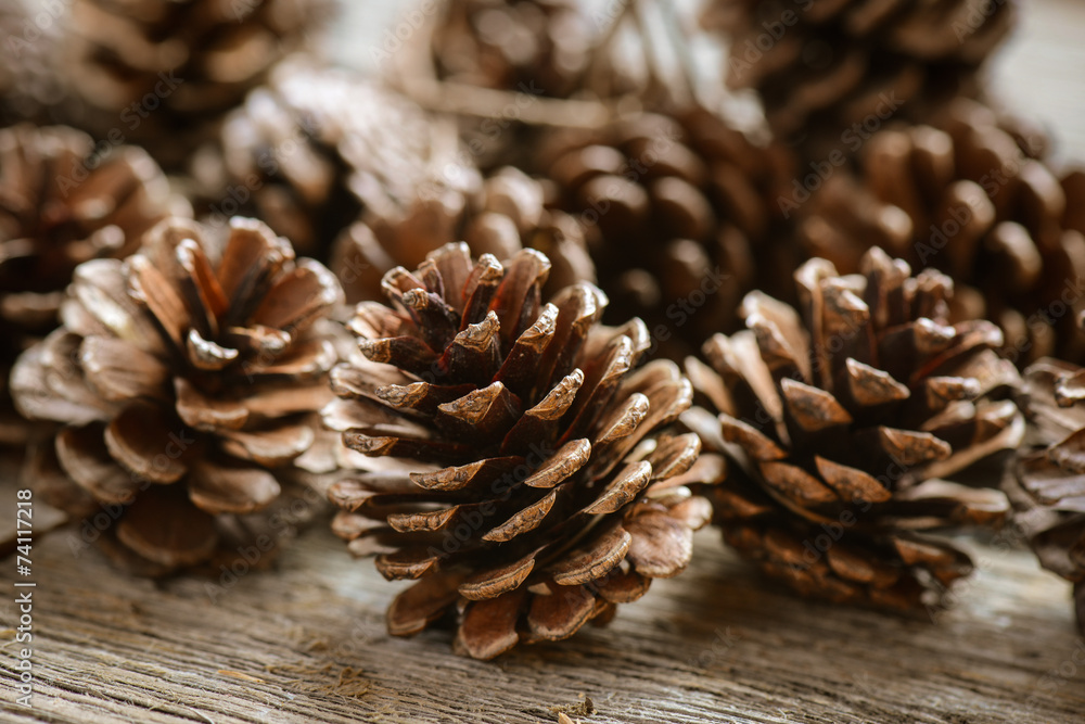 Pinecones on Rustic Wood Background Pinecones on Rustic Wood Background