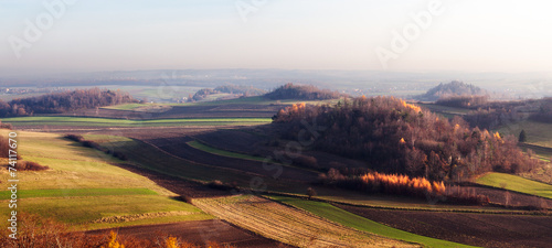 Jurassic Landscape