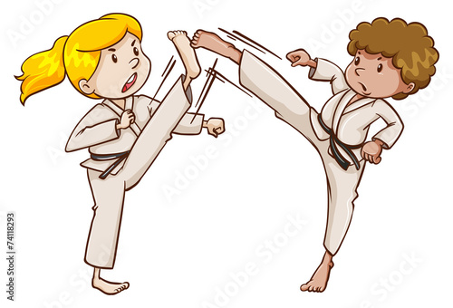 Two martial arts experts