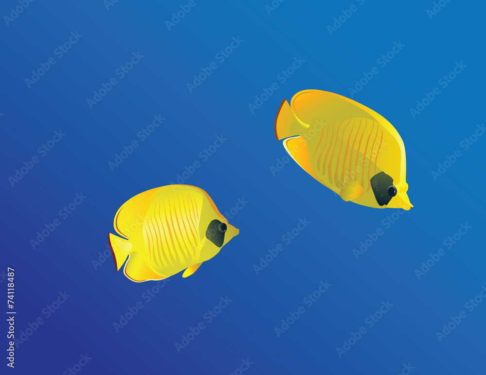 Naklejka premium Masced Butterfly fish