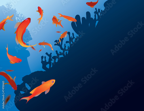 Antias fish
