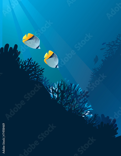 Bannerfish in corals