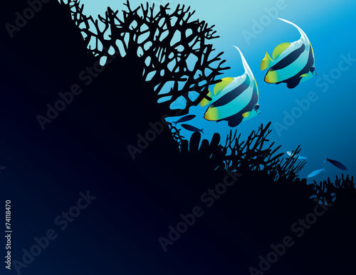 Bannerfish in corals