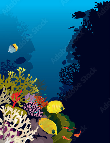 Bannerfish in corals