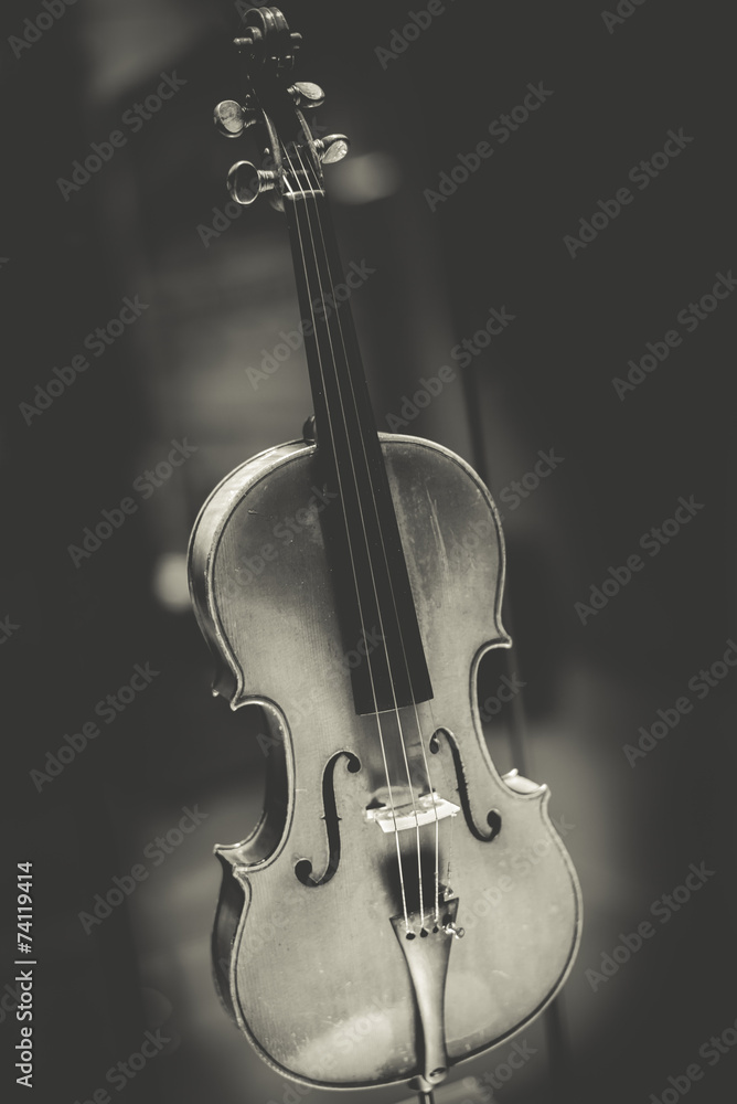 Fototapeta premium antique violin