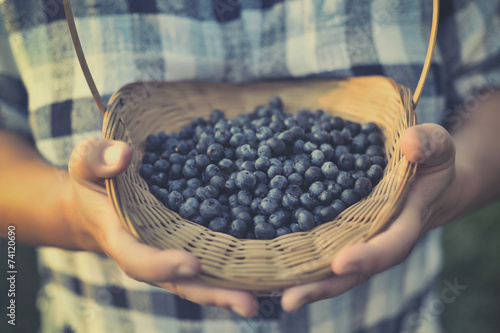 Blueberry basket