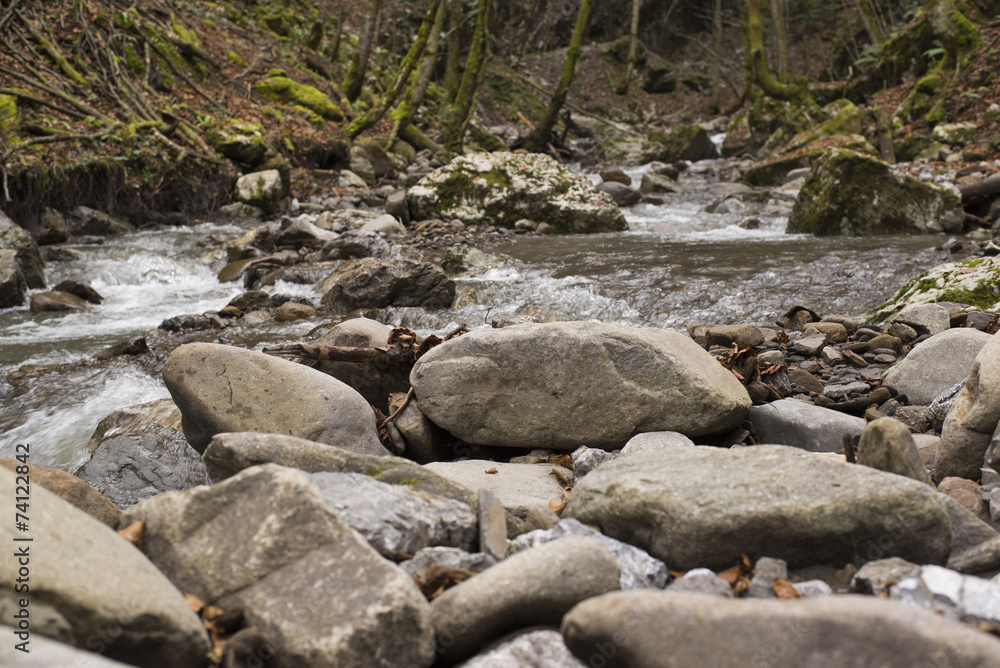 stream in gorski kotar, near skrad stream in gorski kotar, near skrad