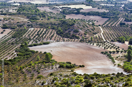 Campo en La Alcarria photo