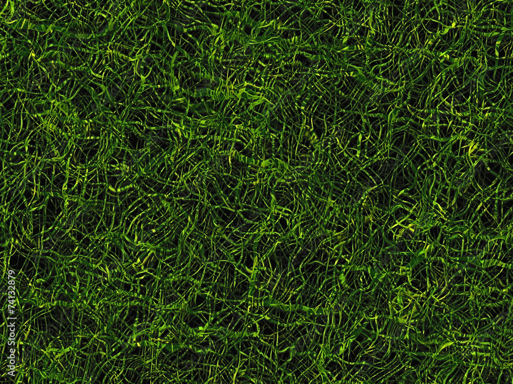 tangled lush green grass texture of evening time tangled lush green grass texture of evening time
