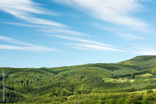 Carpathian Mountains Forest View With Blue Summer Sky