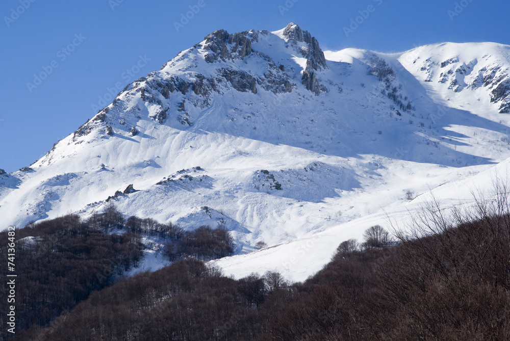Alpine winter landscape