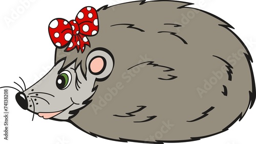 SweetPet47EDK1