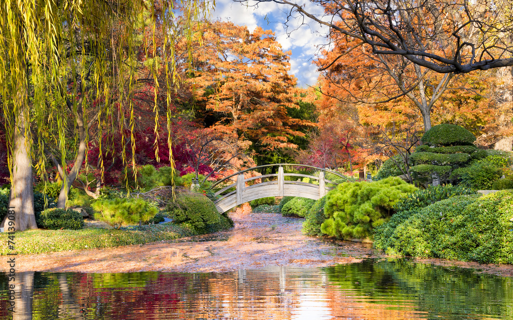 Naklejka premium Moon Bridge in the Japanese Gardens