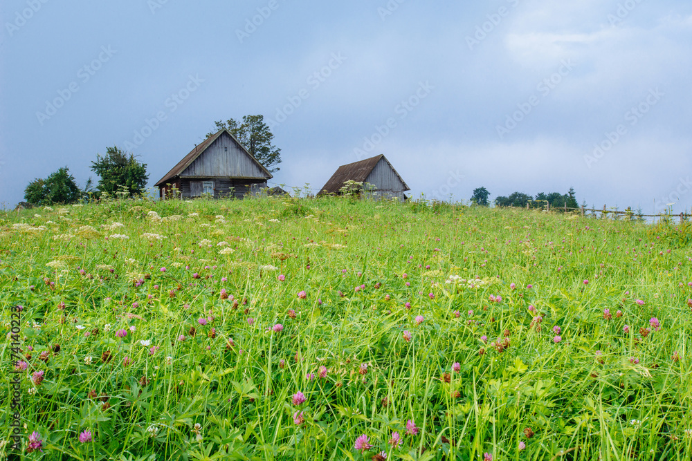 grass field in the mountains