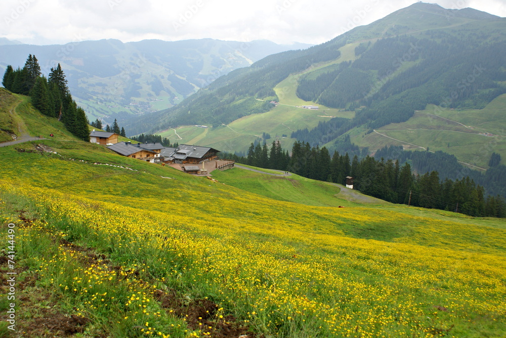 Austrian landscape in Saalbach - Hinterglemm Austrian landscape in Saalbach - Hinterglemm