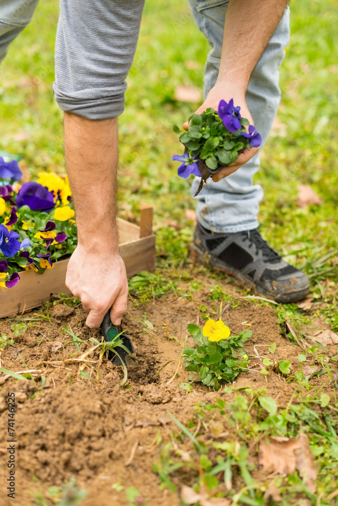 Fototapeta premium Planting Flowers