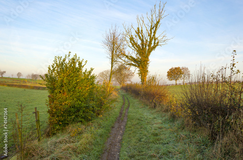 Track along meadow at sunrise in autumn