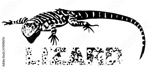 Black lizard lying on the sun, illustration isolated on white