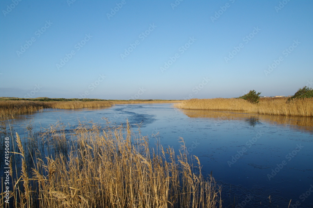 Küstenlandschaft in Dänemarks Jütland 15