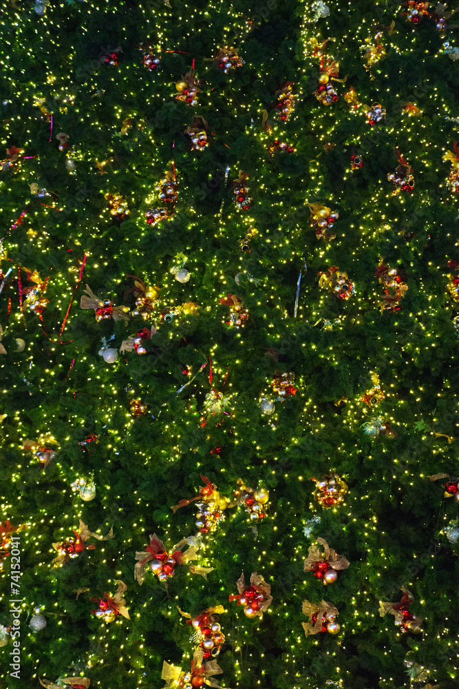 Christmas Tree. Close-up winter background.