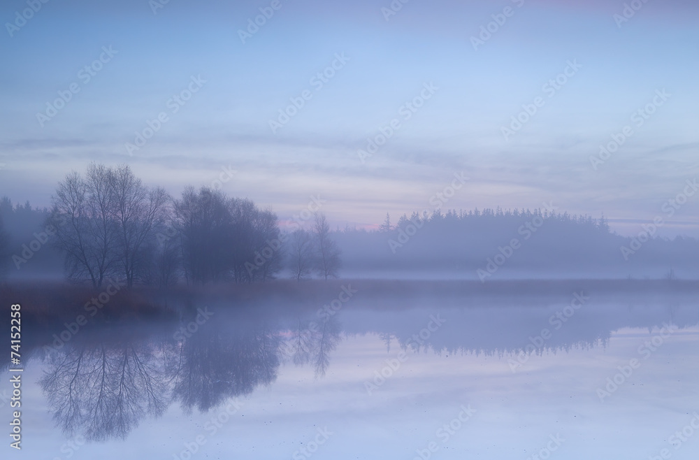 misty morning on autumn swamp misty morning on autumn swamp