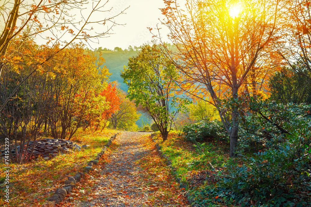 Obraz premium Ogród botaniczny w Tbilisi w Gruzji