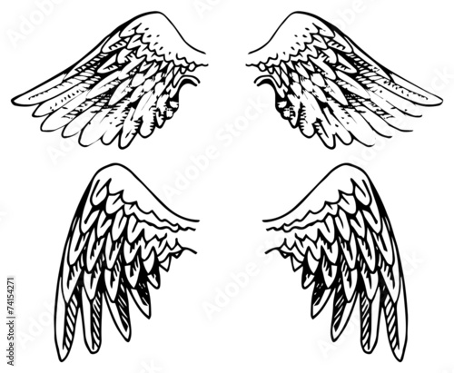 Hand drawn, set of wings