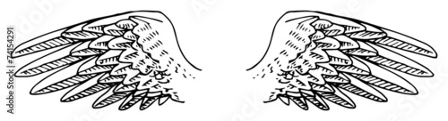 Hand drawn wings