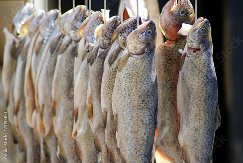 Fischmarkt Fisch