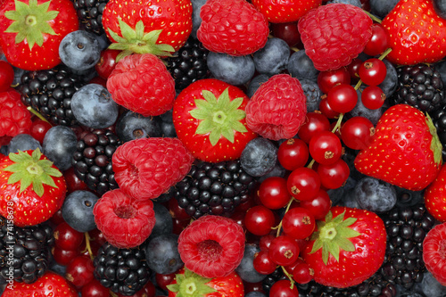 Different berries. Background