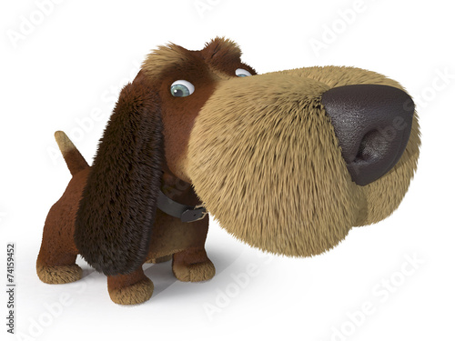 Photography 3d ridiculous dog