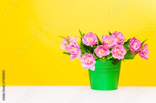 Fototapeta Naklejka Na Ścianę i Meble -  Green pot with pink flowers on yellow background