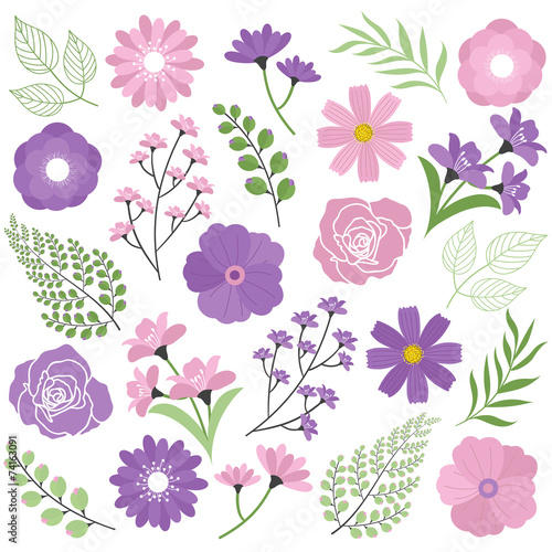 Fototapeta Naklejka Na Ścianę i Meble -  Pink & purple floral set