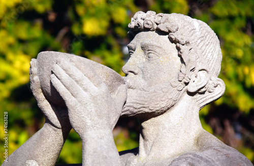 Photography Bacchus