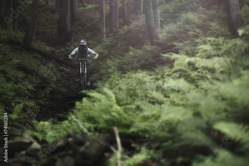 Mountainbiker rides on path in forest photo