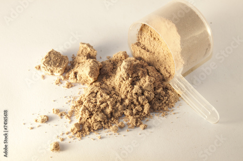 Protein powder