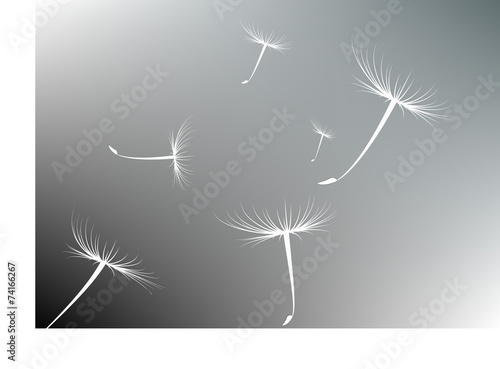 Vector dandelion seeds blown in the wind