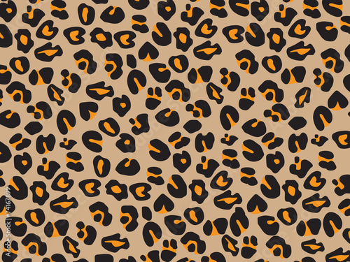 Closeup Leopard skin pattern