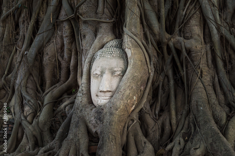 Head of Buddha statue in the tree roots, Ayutthaya, Thailand. Head of Buddha statue in the tree roots, Ayutthaya, Thailand.