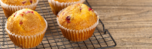 Muffins with cranberry. Panoramic image. Selective focus