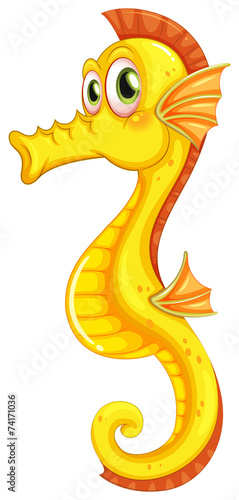 A seahorse