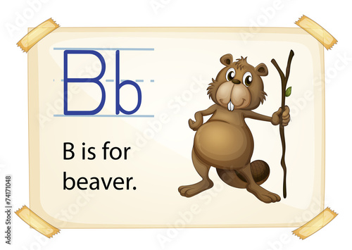 A letter B for beaver