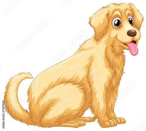 A dog panting