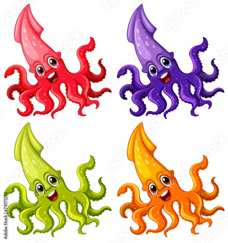 A group of squids