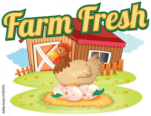 A farm fresh template