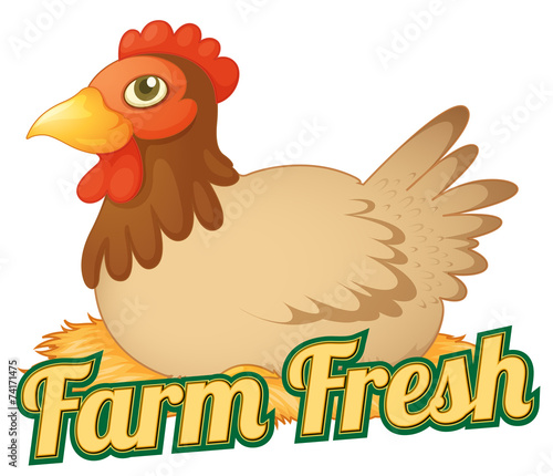 Chicken